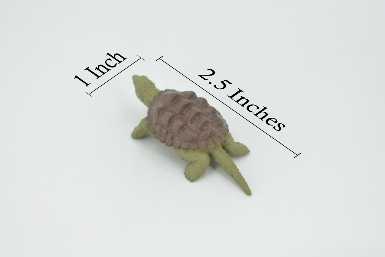 Alligator Snapping Turtle, Plastic Reptile, Educational, Realistic, Figure, Lifelike Model, Figurine, Replica, Toys, Kids, Gift,    2 1/2 Inches. 