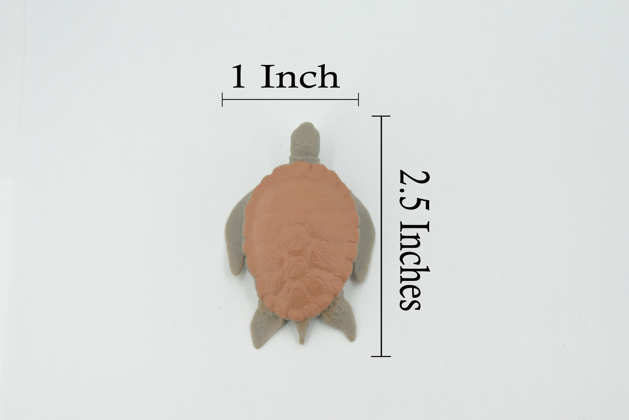 Sea Turtle, Galapagos Islands, Educational, Hand Painted, Realistic Plastic Turtle Figure, Lifelike, Diorama, Toy, Kids, Gift,   2 1/2 Inches.