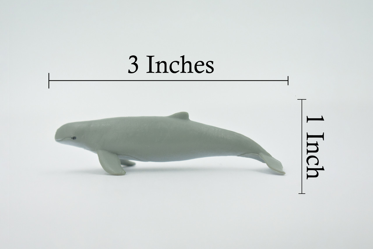 Whale, Pilot Whale, Hand Painted, Rubber Cetaceans, High Quality Rubber, Realistic, Toy, Figure, Kids, Model, Replica, Educational, Gift,     3"       CH503 BB156