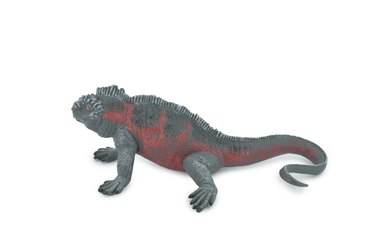 Iguana, Marine iguana, Museum Quality, Hand Painted, Rubber Reptile, Realistic Lizard, Figure, Toy, Kids, Educational, Gift,  7 1/2" 