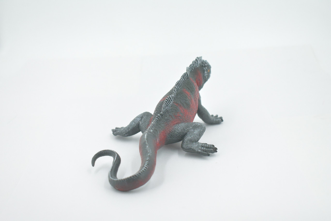 Iguana, Marine iguana, Museum Quality, Hand Painted, Rubber Reptile, Realistic Lizard, Figure, Toy, Kids, Educational, Gift,  7 1/2" CH504 BB156
