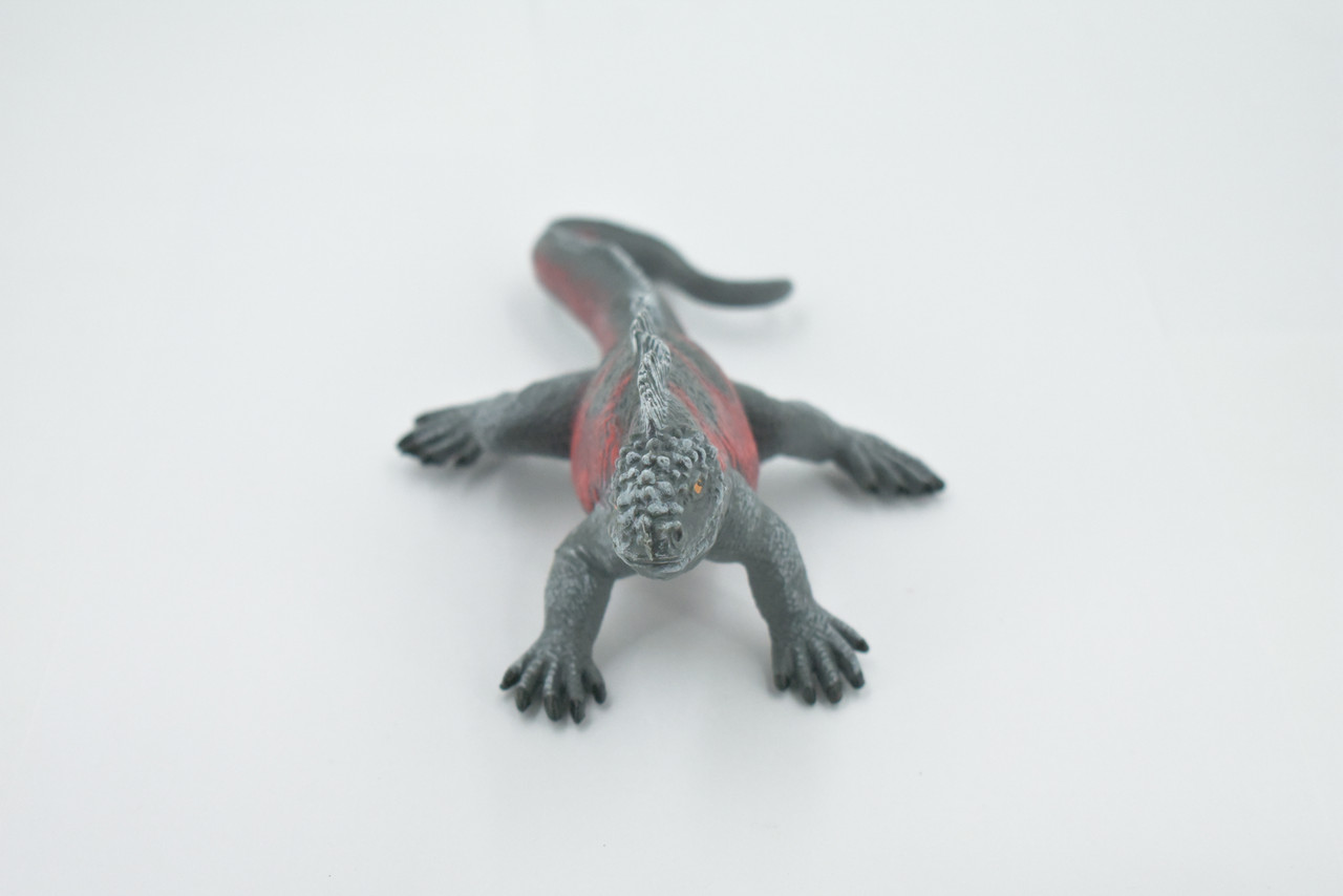 Iguana, Marine iguana, Lizard, Museum Quality, Hand Painted, Rubber, Realistic, Figure, Model, Replica, Toy, Kids, Educational, Gift,   7 1/2"  CH504 BB156