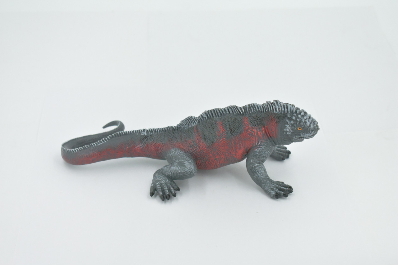 Iguana, Marine iguana, Museum Quality, Hand Painted, Rubber Reptile, Realistic Lizard, Figure, Toy, Kids, Educational, Gift,  7 1/2" CH504 BB156