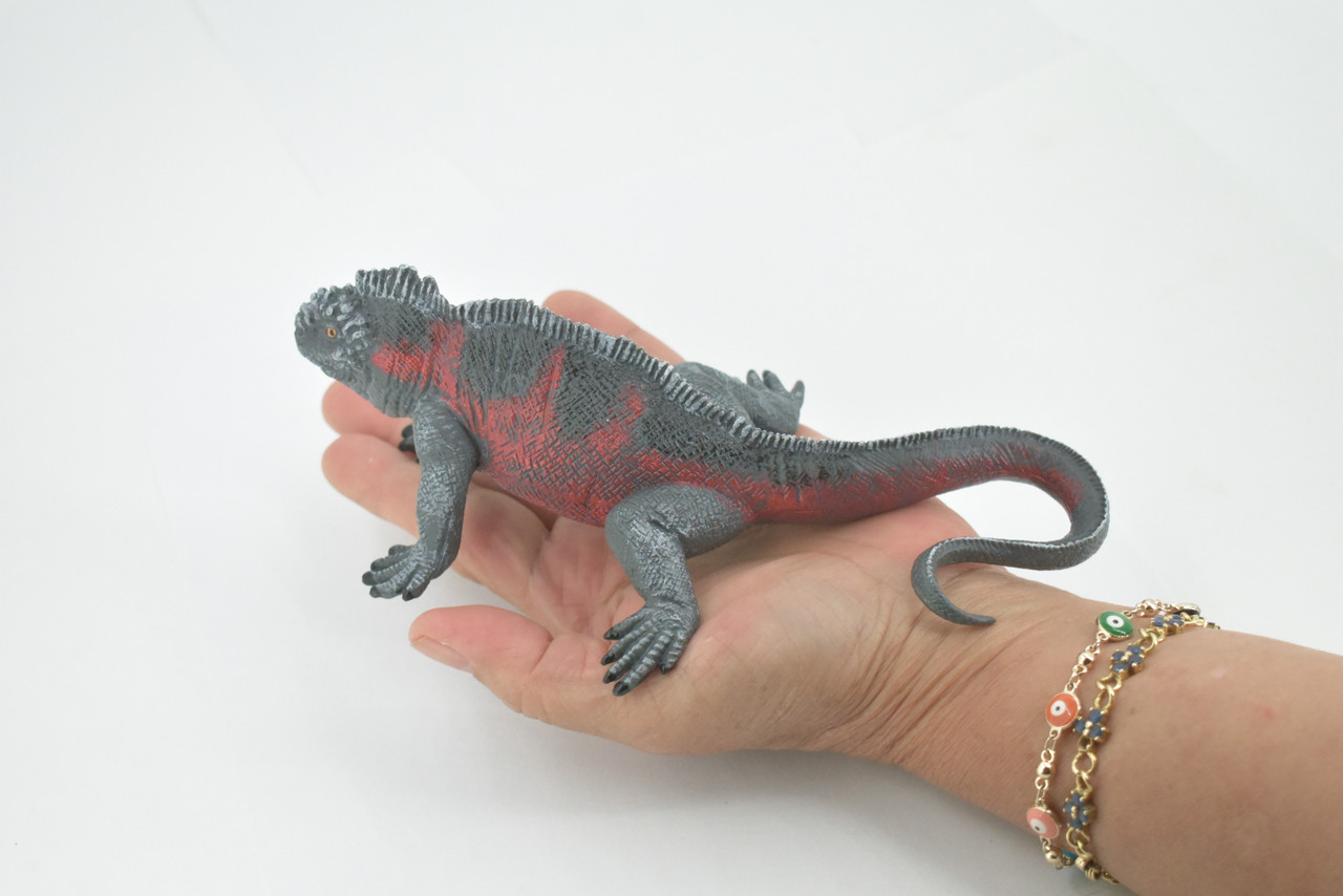 Iguana, Marine iguana, Museum Quality, Hand Painted, Rubber Reptile, Realistic Lizard, Figure, Toy, Kids, Educational, Gift,  7 1/2" 
