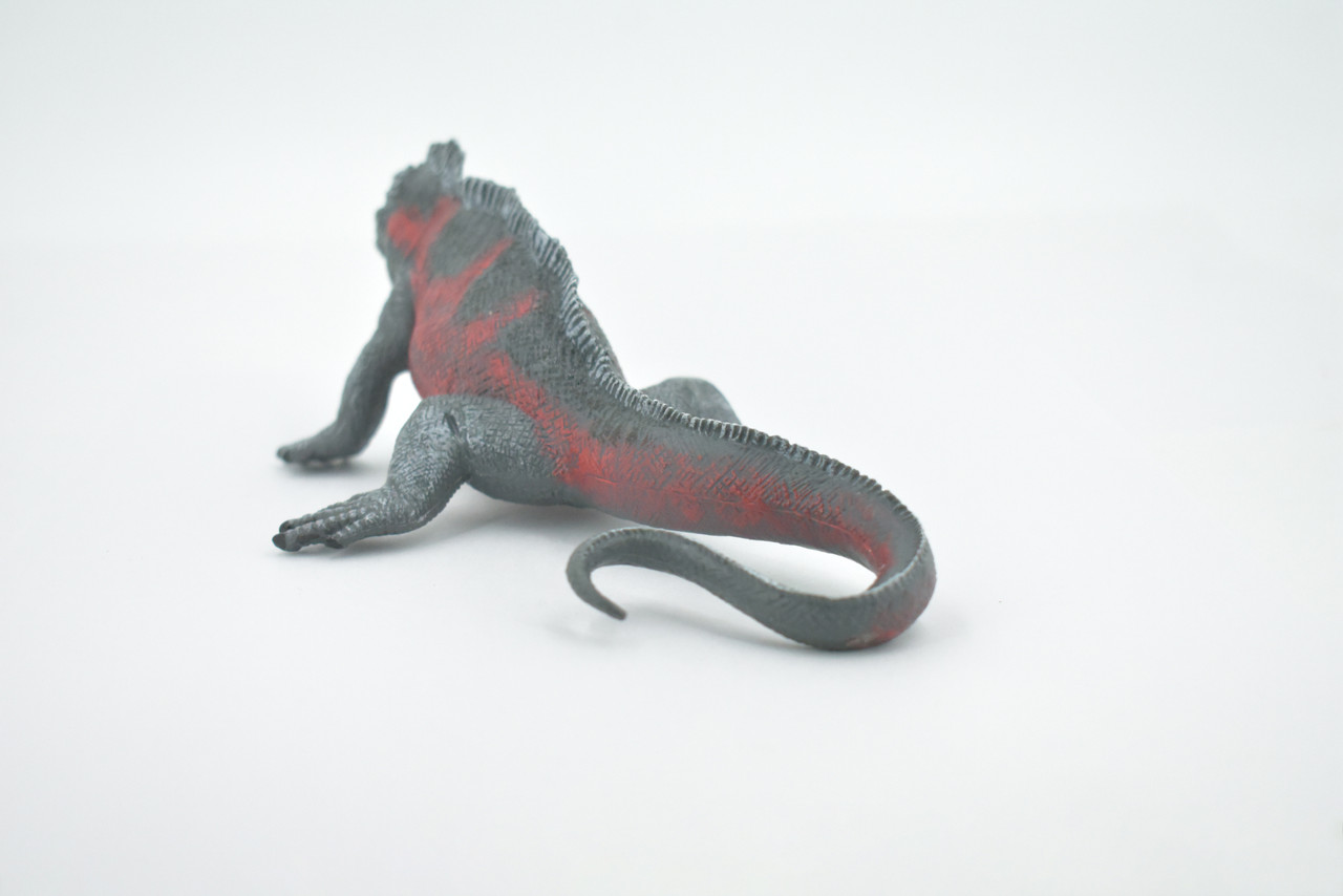 Iguana, Marine iguana, Museum Quality, Hand Painted, Rubber Reptile, Realistic Lizard, Figure, Toy, Kids, Educational, Gift,  7 1/2" CH504 BB156