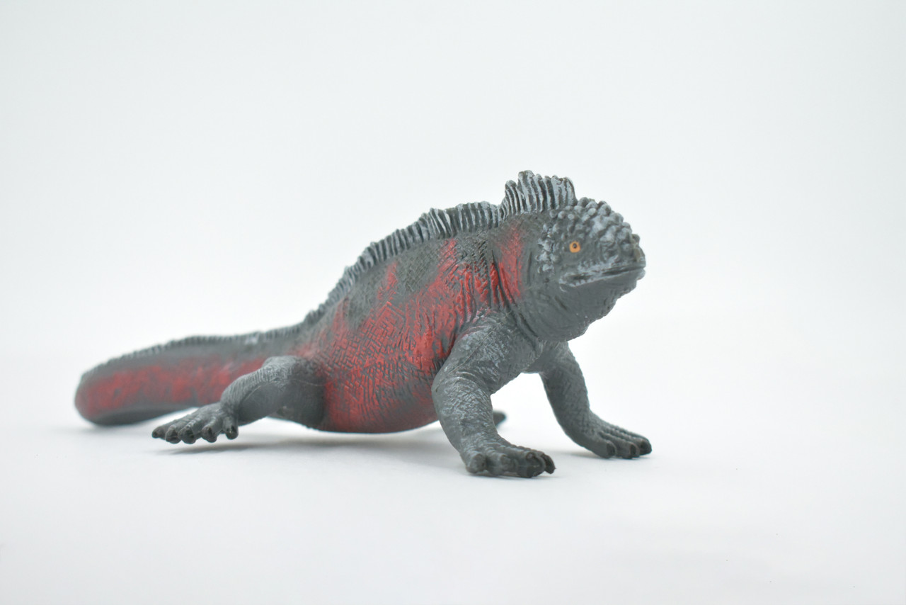 Iguana, Marine iguana, Museum Quality, Hand Painted, Rubber Reptile, Realistic Lizard, Figure, Toy, Kids, Educational, Gift,  7 1/2" 