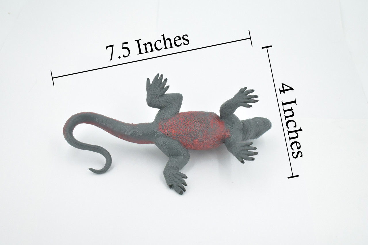 Iguana, Marine iguana, Museum Quality, Hand Painted, Rubber Reptile, Realistic Lizard, Figure, Toy, Kids, Educational, Gift,  7 1/2" 