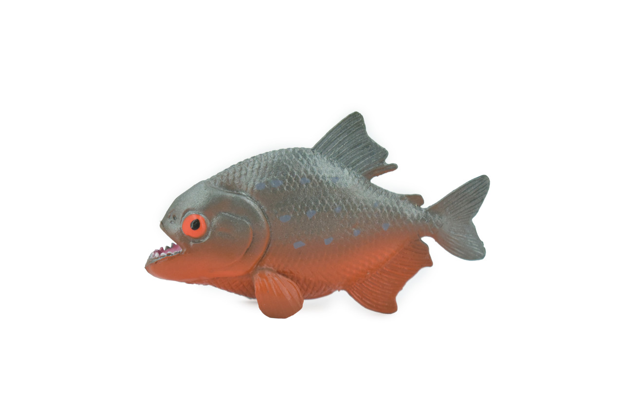 Fish, Red Bellied Pranha, Museum Quality, Hand Painted, Realistic, Rubber  Fish, Figure, Model, Replica, Toy, Kids, Educational, Gift, 2 3/4 CH505