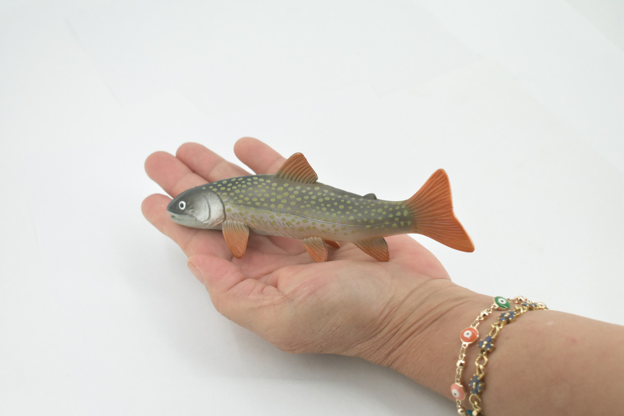 Fish, Arctic Char, Salmonidae, Museum Quality, Hand Painted, Realistic, Rubber Fish, Figure, Model, Replica, Toy, Kids, Educational, Gift,     6"   CH506 BB156