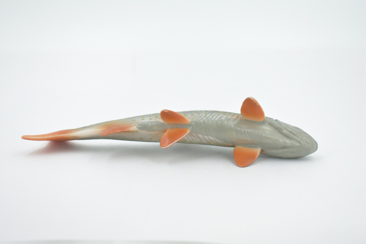 Fish, Arctic Char, Salmonidae, Museum Quality, Hand Painted, Realistic, Rubber Fish, Figure, Model, Replica, Toy, Kids, Educational, Gift,     6"   CH506 BB156