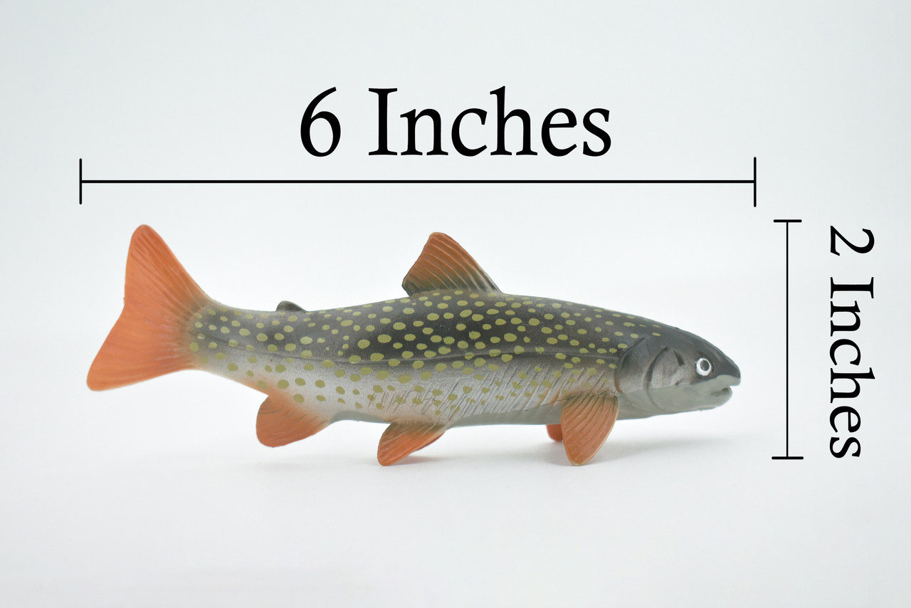 Fish, Arctic Char, Salmonidae, Museum Quality, Hand Painted, Realistic, Rubber Fish, Figure, Model, Replica, Toy, Kids, Educational, Gift,     6"   CH506 BB156