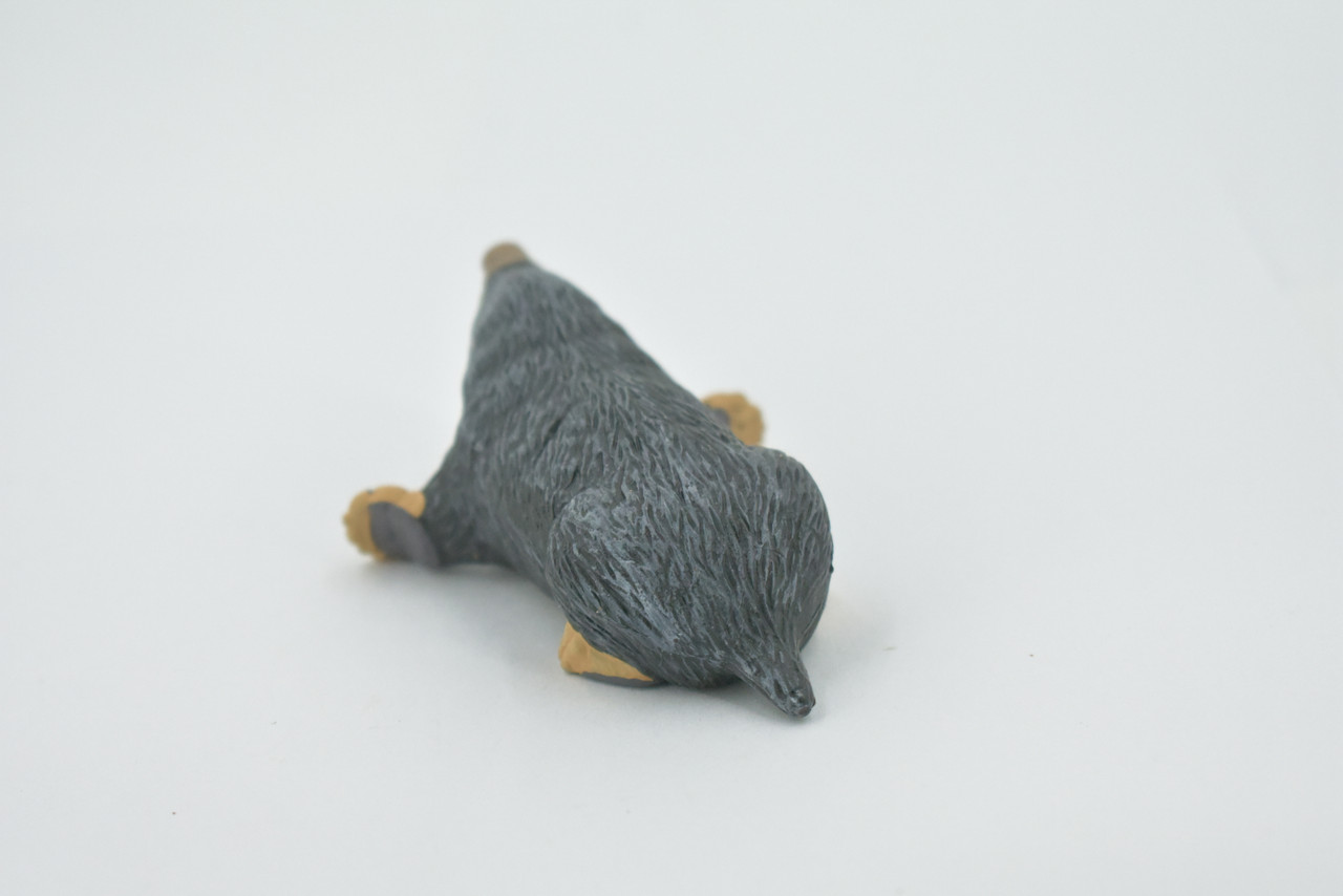 Mole, Rodent, Museum Quality, Hand Painted, Rubber Animal, Realistic, Figure, Model, Replica, Toy, Kids, Educational, Gift,       3 1/2"     CH508 BB156