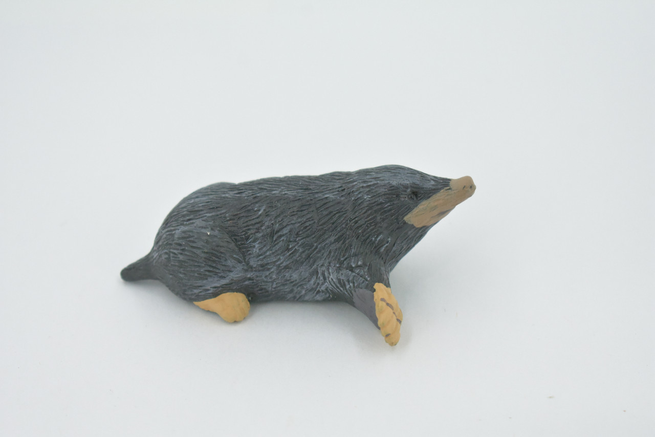 Mole, Rodent, Museum Quality, Hand Painted, Rubber Animal, Realistic, Figure, Model, Replica, Toy, Kids, Educational, Gift,       3 1/2"     CH508 BB156