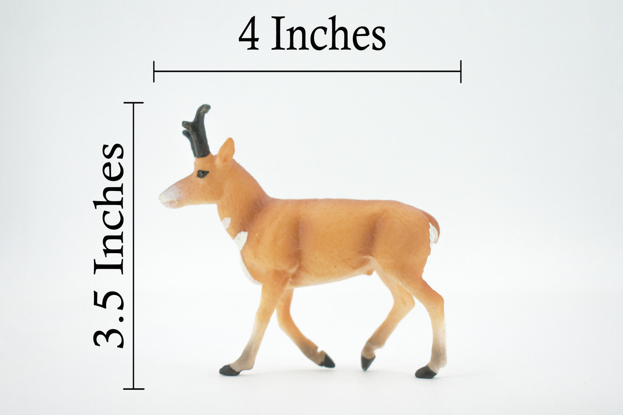 Antelope, American Pronghorn, Museum Quality, Hand Painted, Rubber Animal, Realistic, Figure, Model, Replica, Toy, Kids, Educational, Gift,     4"     CH509 BB156