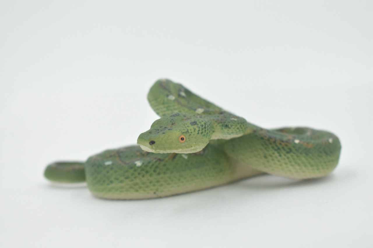 Snake, Green Tree Python, Museum Quality, Hand Painted, Rubber Reptile, Realistic, Figure, Model, Toy, Kids, Educational, Gift,    6"     CH511 BB157