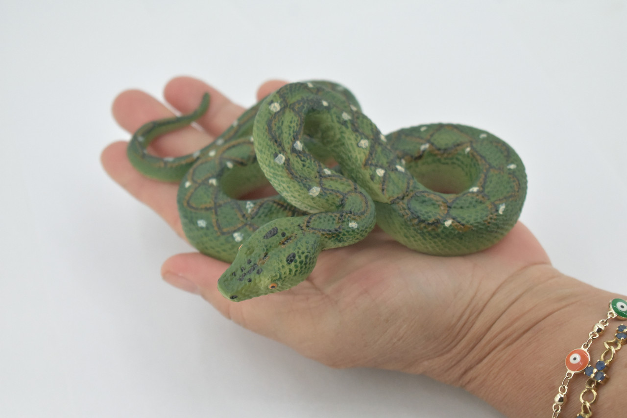 Snake, Green Tree Python, Museum Quality, Hand Painted, Rubber Reptile, Realistic, Figure, Model, Toy, Kids, Educational, Gift,    6"     CH511 BB157