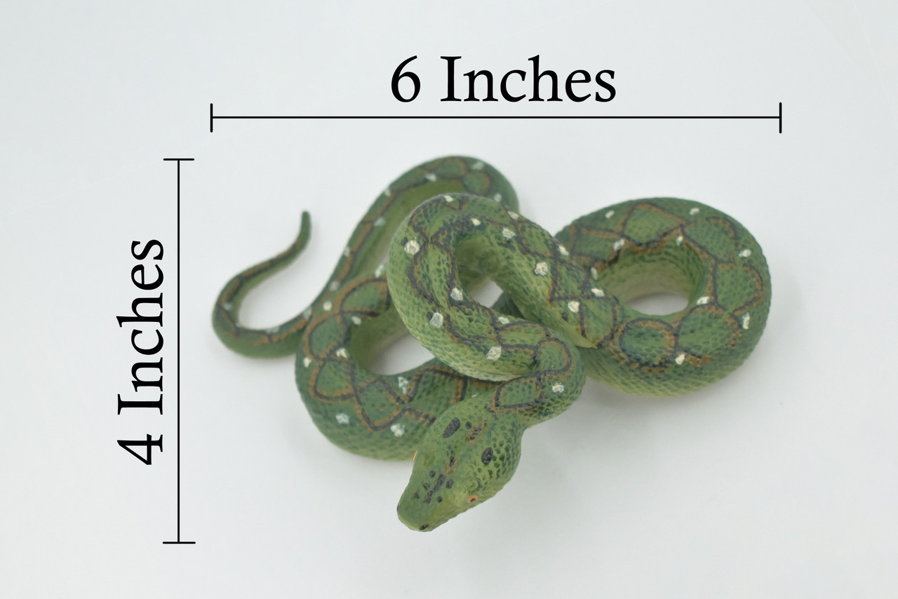 Snake, Green Tree Python, Museum Quality, Hand Painted, Rubber Reptile, Realistic, Figure, Model, Toy, Kids, Educational, Gift,    6"     CH511 BB157