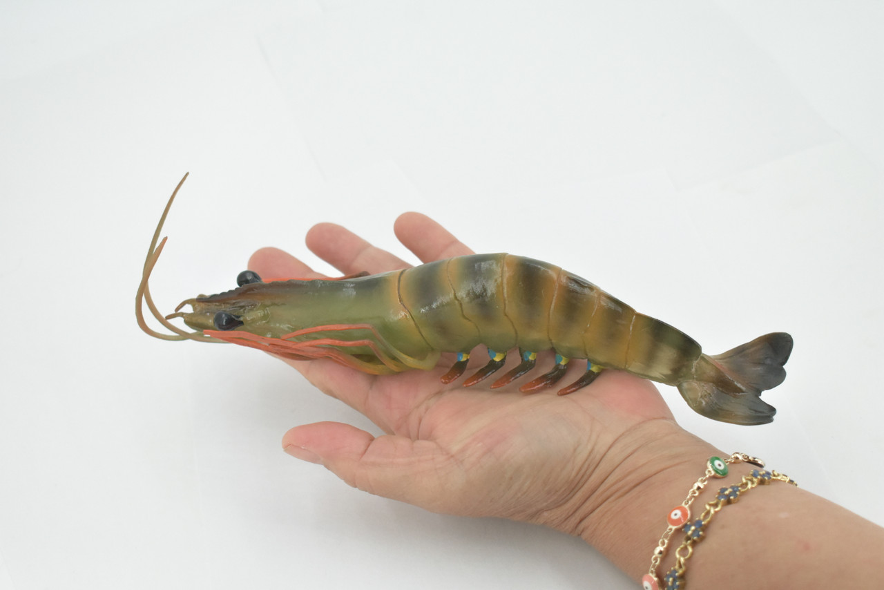 Shrimp, Prawn, Tiger Shrimp, Museum Quality, Hand Painted, Rubber Crustaceans, Realistic Toy Figure, Model, Replica, Kids, Educational, Gift,     9"      CH513 BB157