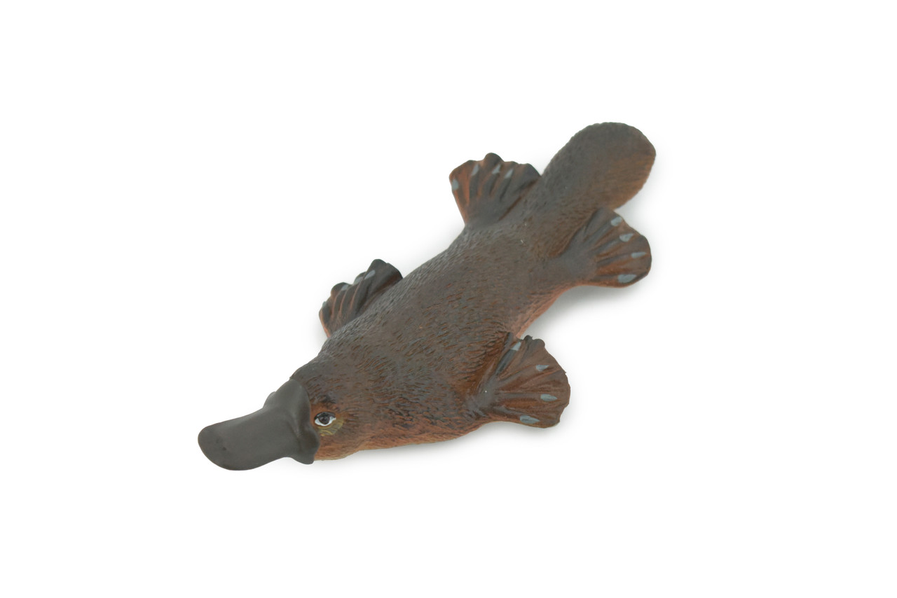 Platypus, Duck-billed platypus, Museum Quality, Hand Painted