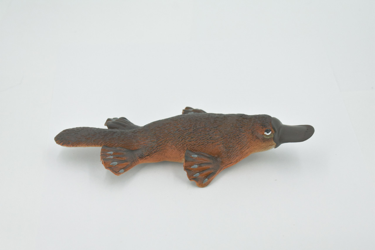 Platypus, Duck-billed platypus, Museum Quality, Hand Painted, Rubber Mammal, Realistic, Figure, Model, Replica, Toy, Kids, Educational, Gift,     7"     CH514 BB157