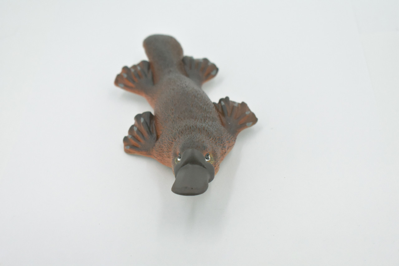 Platypus, Duck-billed platypus, Museum Quality, Hand Painted, Rubber Mammal, Realistic, Figure, Model, Replica, Toy, Kids, Educational, Gift,     7"     CH514 BB157