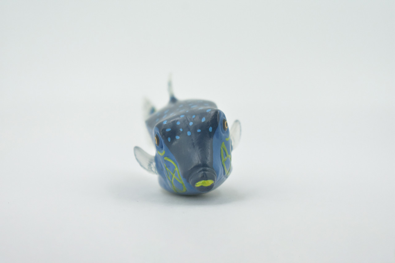 Fish, Box Puffer, Pufferfish, Museum Quality, Hand Painted, Rubber estuarine fish, Realistic, Figure, Model, Replica, Toy, Kids, Educational, Gift,     4"     CH516  BB157 