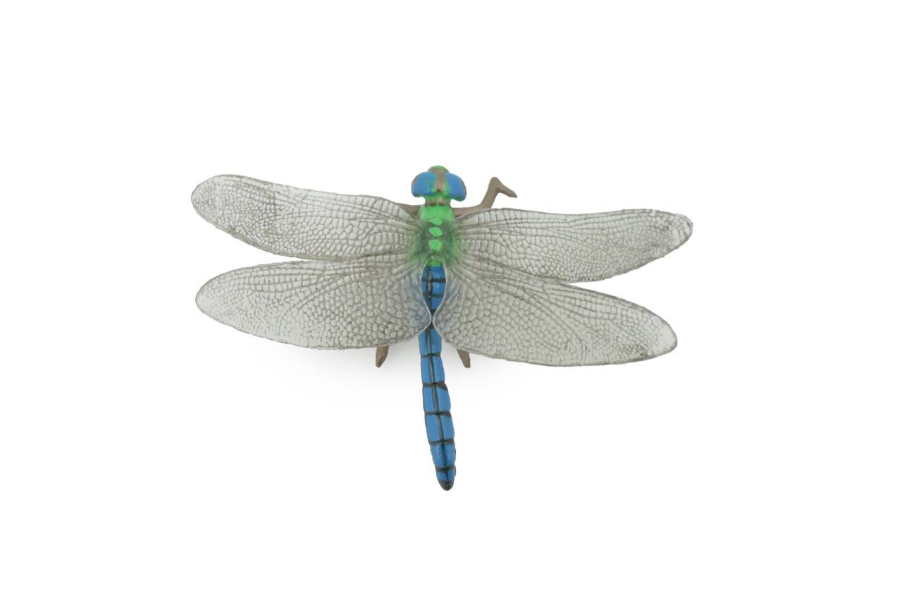 Dragonfly, Damselfly, Bluetail, Museum Quality, Hand Painted, Rubber Insect, Realistic, Figure, Model, Replica, Toy, Kids, Educational, Gift,    3 1/2"     CH517 BB157 