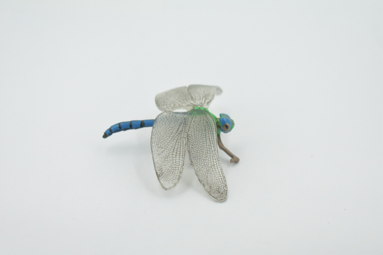 Dragonfly, Damselfly, Bluetail, Museum Quality, Hand Painted, Rubber Insect, Realistic, Figure, Model, Replica, Toy, Kids, Educational, Gift,    3 1/2"     CH517 BB157 