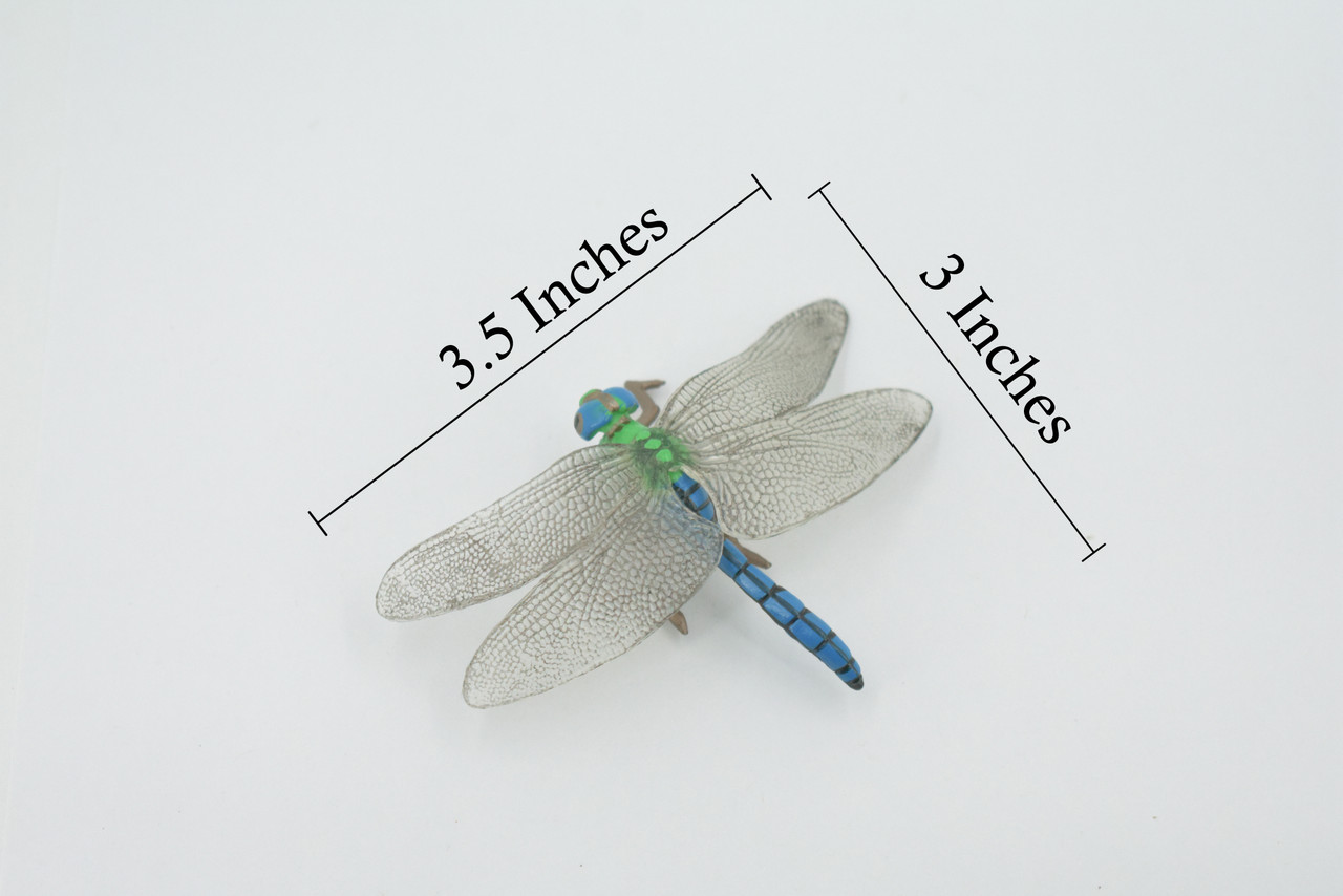 Dragonfly, Damselfly, Bluetail, Museum Quality, Hand Painted, Rubber Insect, Realistic, Figure, Model, Replica, Toy, Kids, Educational, Gift,    3 1/2"     CH517 BB157 