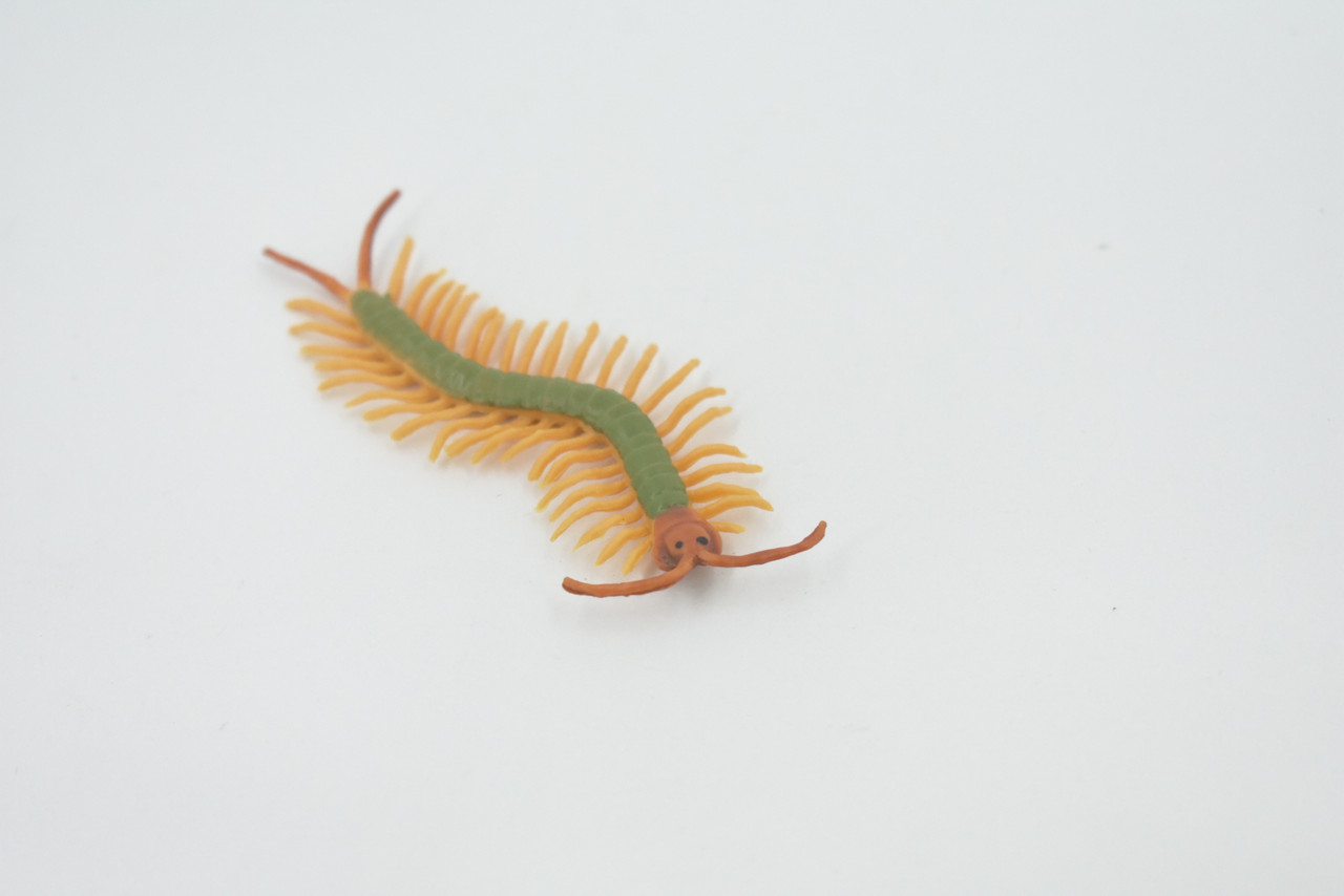 Centipede, Green, Arthropods, Museum Quality, Hand Painted, Rubber Chilopoda, Realistic, Figure, Model, Replica, Toy, Kids, Educational, Gift,    3"     CH518 BB158