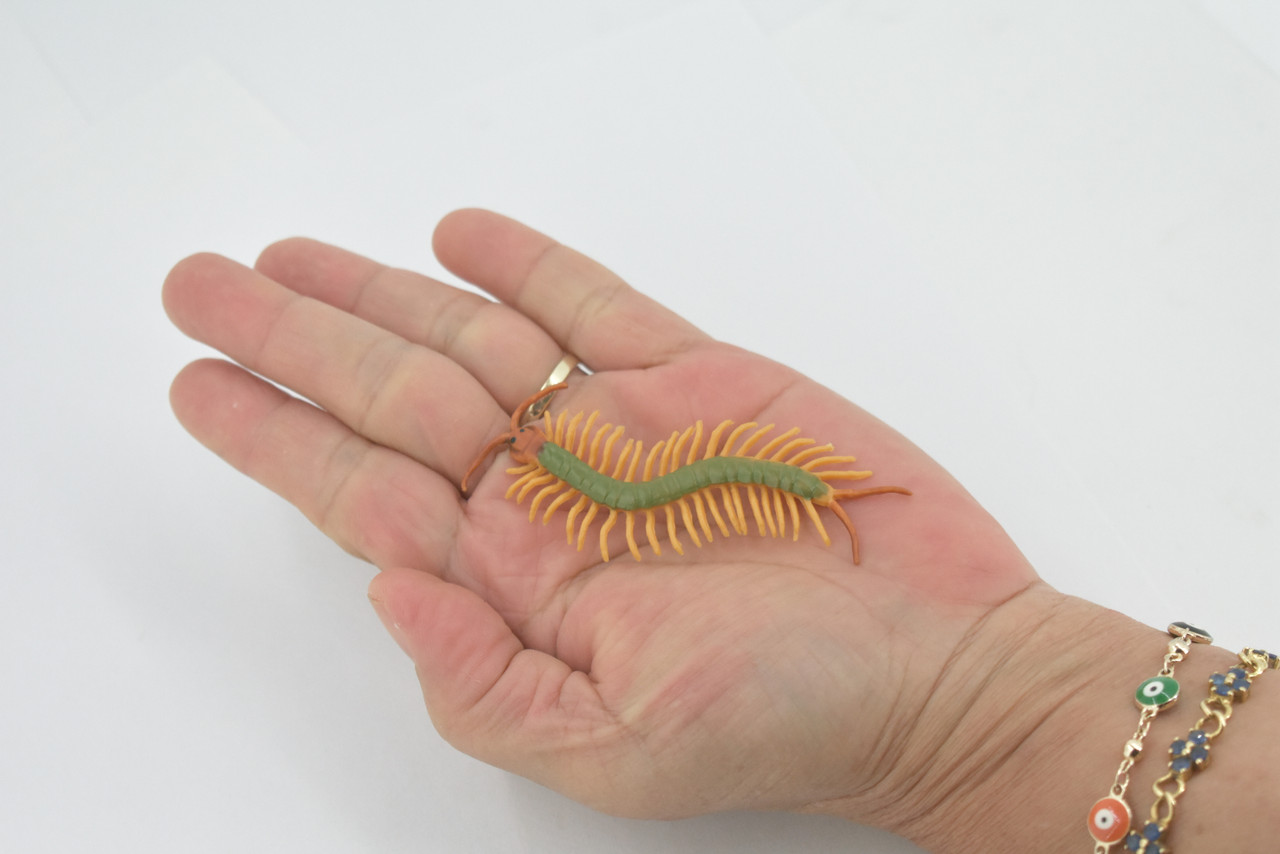 Centipede, Green, Arthropods, Museum Quality, Hand Painted, Rubber Chilopoda, Realistic, Figure, Model, Replica, Toy, Kids, Educational, Gift,    3"     CH518 BB158