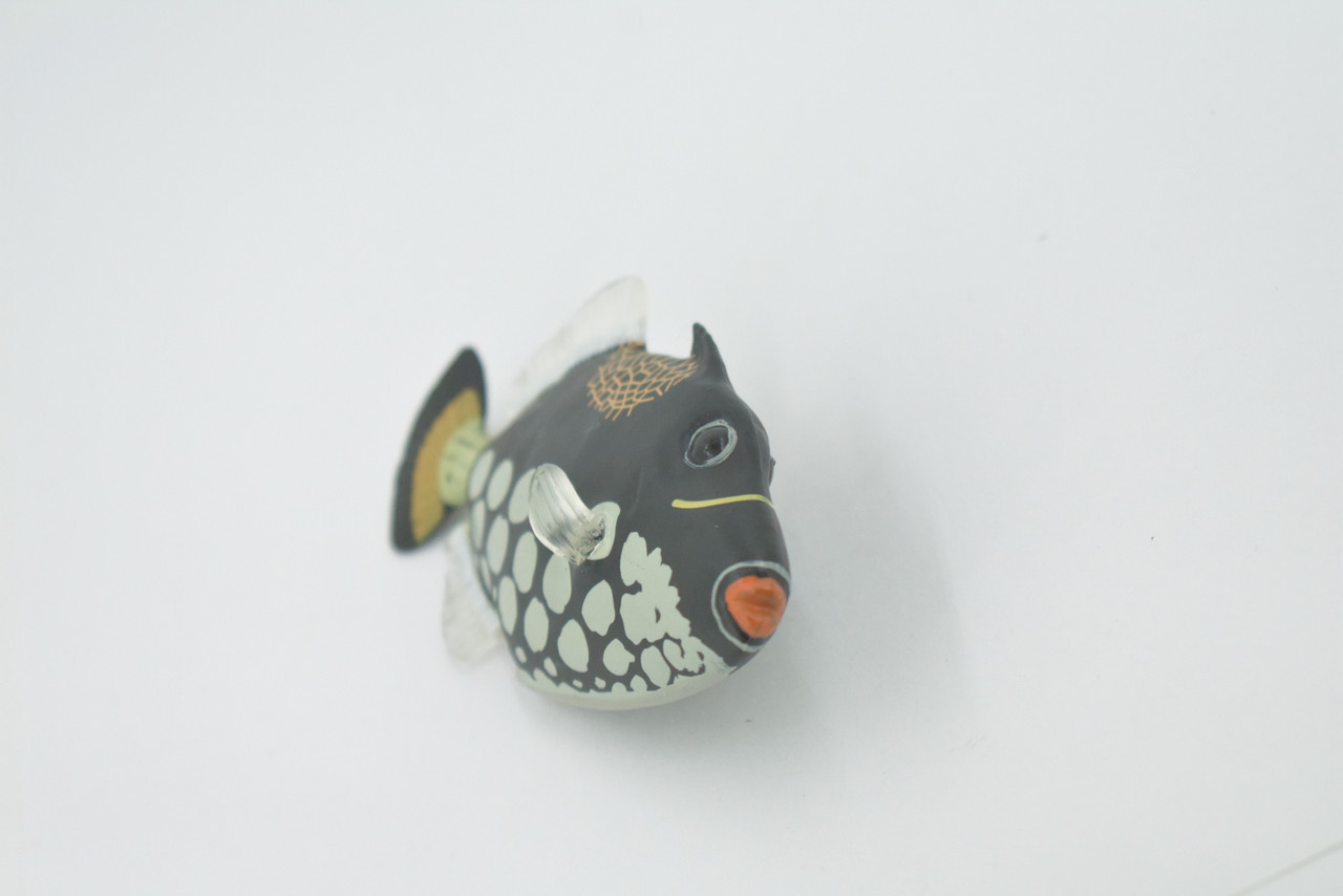 Fish, Clown Triggerfish, Tropical, Museum Quality, Hand Painted, Rubber, Trigger Fish, Realistic, Figure, Model, Toy, Kids, Educational, Gift,   3 1/2"     CH519 BB158