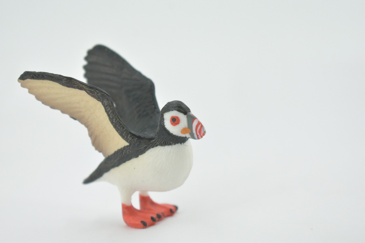 Puffin, Auks,  Pelagic seabirds, Hand Painted, Rubber Bird, High Quality, Rubber, Realistic, Toy, Figure, Kids, Model, Replica, Educational, Gift,     2"    CH522 BB158