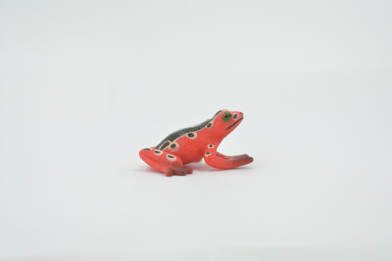 Frog, Marbled Reed Frog, Museum Quality, Hand Painted, Rubber Amphibian, Realistic Figure, Model, Replica, Toy, Kids, Educational, Gift,   1 1/2"    CH523 BB158