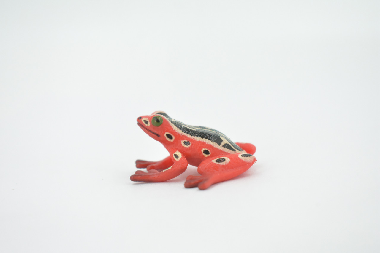 Frog, Marbled Reed Frog, Museum Quality, Hand Painted, Rubber Amphibian, Realistic Figure, Model, Replica, Toy, Kids, Educational, Gift,   1 1/2"    CH523 BB158