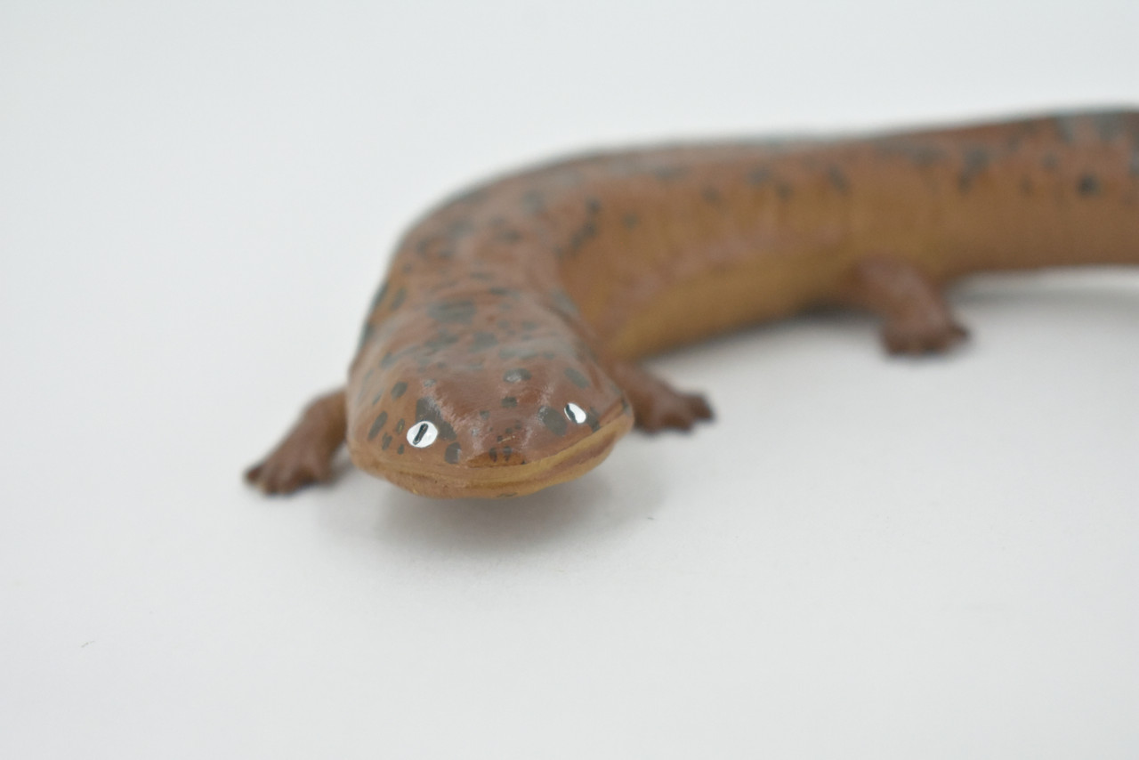 Salamander, Red River Waterdog, Mudpuppy, Museum Quality, Hand Painted, Rubber Amphibian, Realistic Figure, Toy, Kids, Educational, Gift,   4"    CH524 BB158 