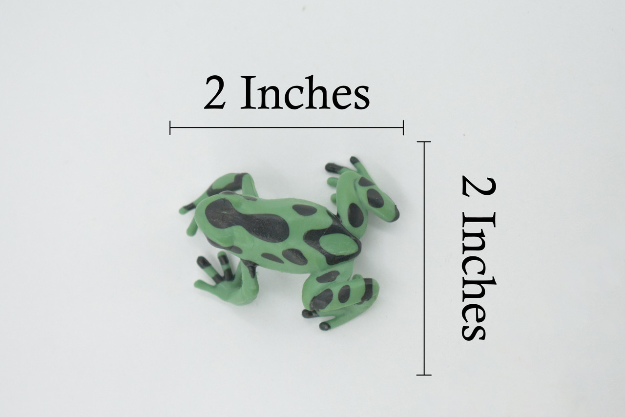 Frog, Green & Black Poison Dart Frog, Arrow, Museum Quality, Hand Painted, Rubber Amphibian, Realistic Figure, Toy, Kids, Educational, Gift,      2"    CH525 BB158 