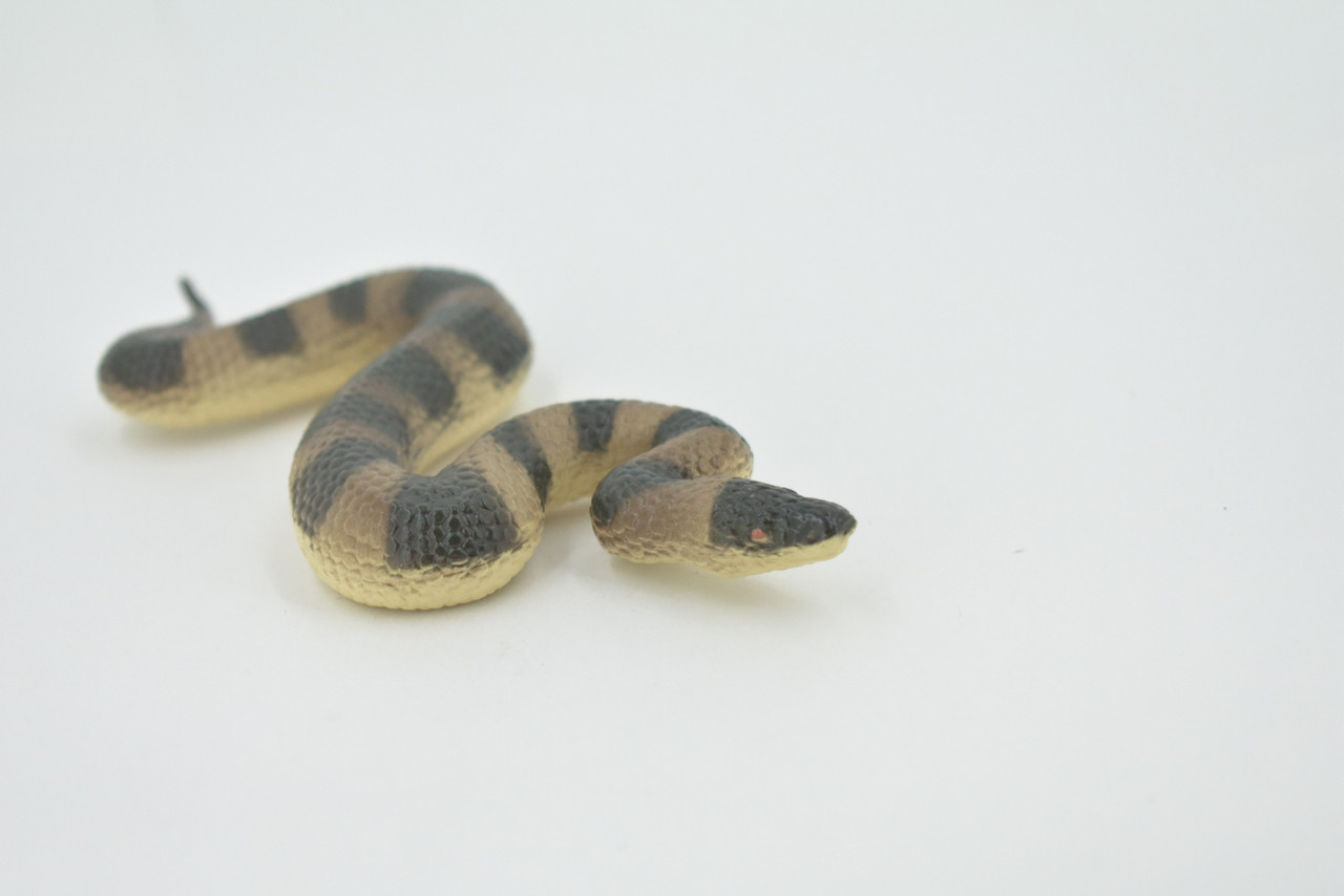 Snake, Puff Adder, Museum Quality, Hand Painted, Rubber Reptile, Realistic Figure, Model, Replica, Toy, Kids, Educational, Gift,     5"    CH526 BB158