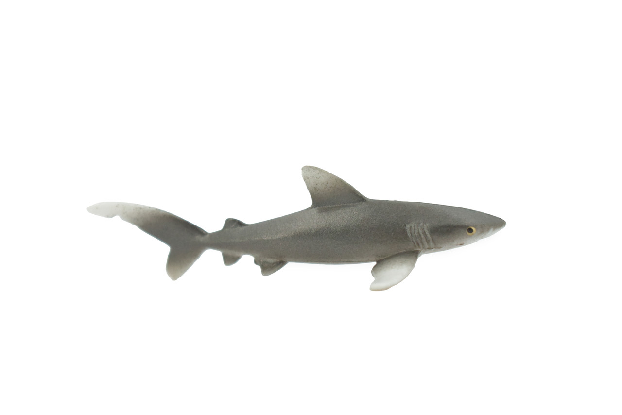 Shark, Oceanic whitetip,  Museum Quality, Hand Painted, Rubber Fish, Realistic, Figure, Model, Replica, Toy, Kids, Educational, Gift,     3"   CH528 BB158