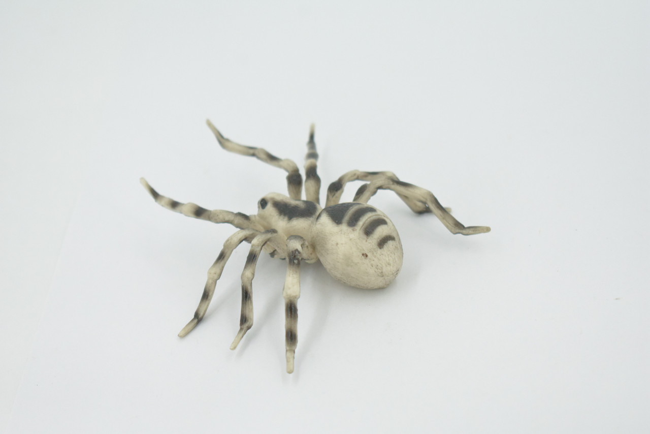 Spider, Wolf, Arachnids, Museum Quality, Hand Painted, Rubber Insect, Realistic, Figure, Model, Replica, Toy, Kids, Educational, Gift,     3 1/2"     CH530 BB158