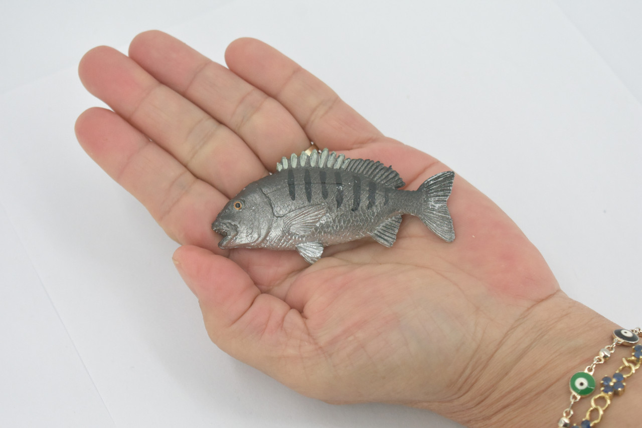 Fish, Tilapia, Cichlid, Nile Perch, Museum Quality, Hand Painted, Rubber Fish, Realistic, Toy Figure, Model, Replica, Kids, Educational, Gift,    3"     CH532 BB159