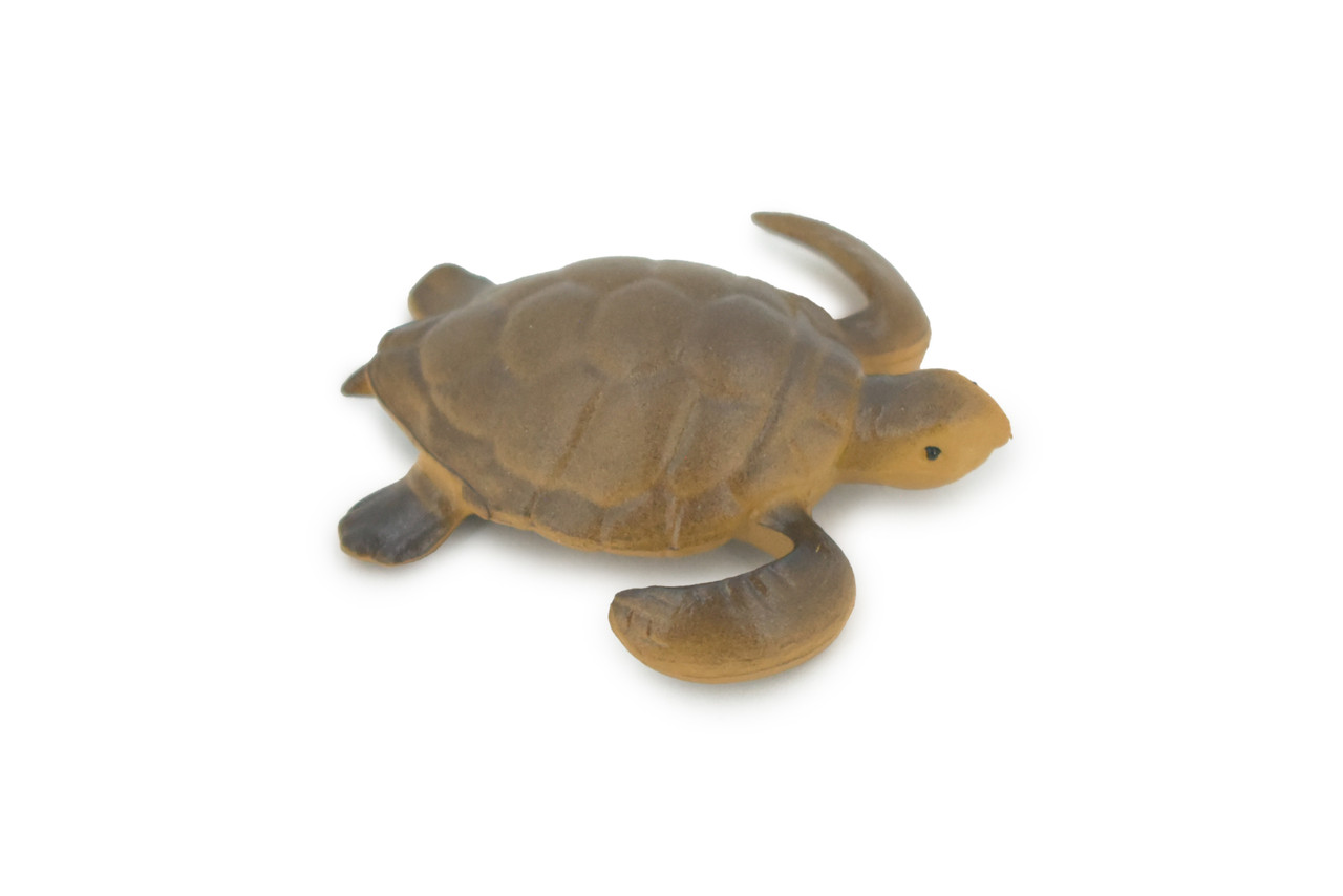 Turtle, Sea Turtle Baby, High Quality, Hand Painted, Rubber Reptile, Realistic Figure, Model, Replica, Toy, Kids, Educational, Gift,     2"    CH535 BB159