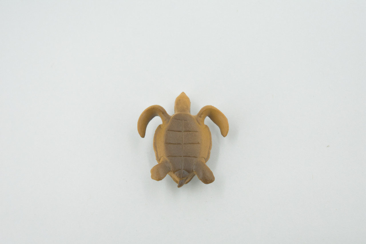 Turtle, Sea Turtle Baby, High Quality, Hand Painted, Rubber Reptile, Realistic Figure, Model, Replica, Toy, Kids, Educational, Gift,     2"    CH535 BB159