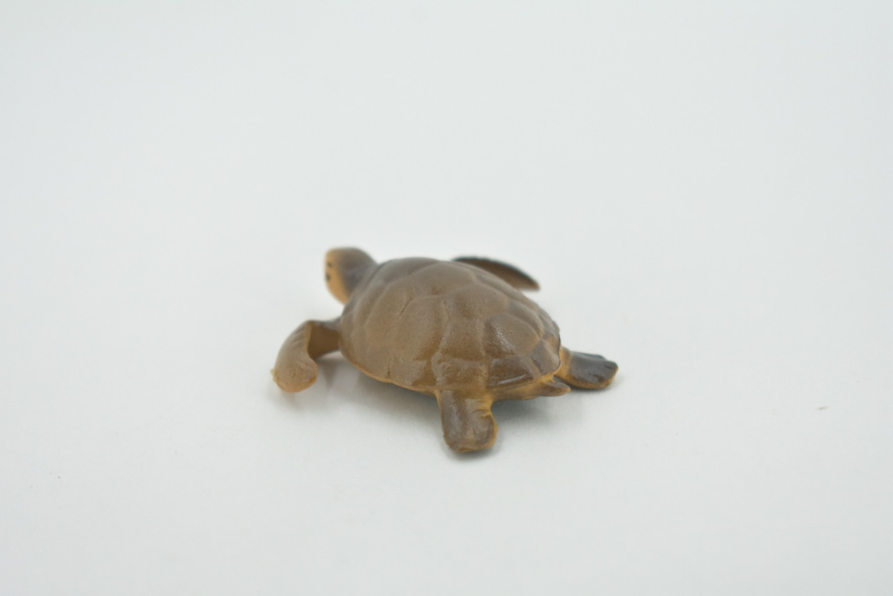 Turtle, Sea Turtle Baby, High Quality, Hand Painted, Rubber Reptile, Realistic Figure, Model, Replica, Toy, Kids, Educational, Gift,     2"    CH535 BB159