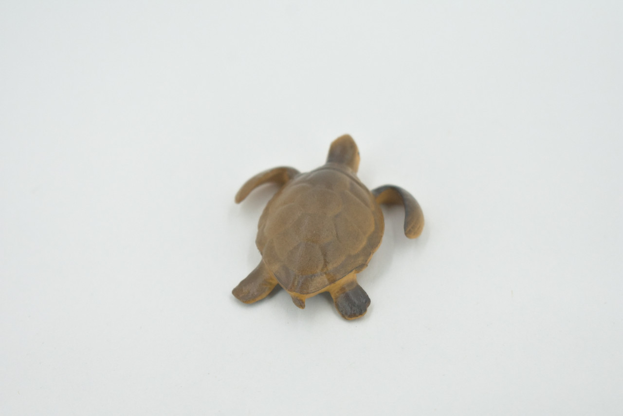 Turtle, Sea Turtle Baby, High Quality, Hand Painted, Rubber Reptile, Realistic Figure, Model, Replica, Toy, Kids, Educational, Gift,     2"    CH535 BB159