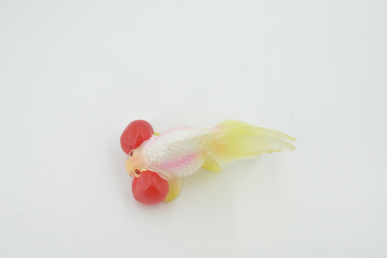 Goldfish, Ranchu, Fancy, Museum Quality, Hand Painted, Rubber, Fish, Realistic Figure, Model, Replica, Toy, Kids, Model, Replica, Educational, Gift,    4"   CH537 BB159