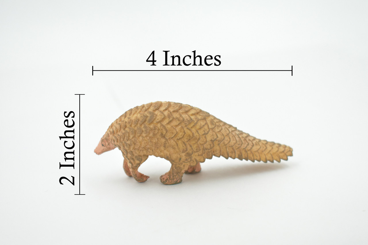 Pangolin, Scaly Anteaters, Museum Quality, Hand Painted, Rubber, Realistic Figure, Model, Replica, Toy, Kids, Model, Replica, Educational, Gift,    4"   CH541 BB159