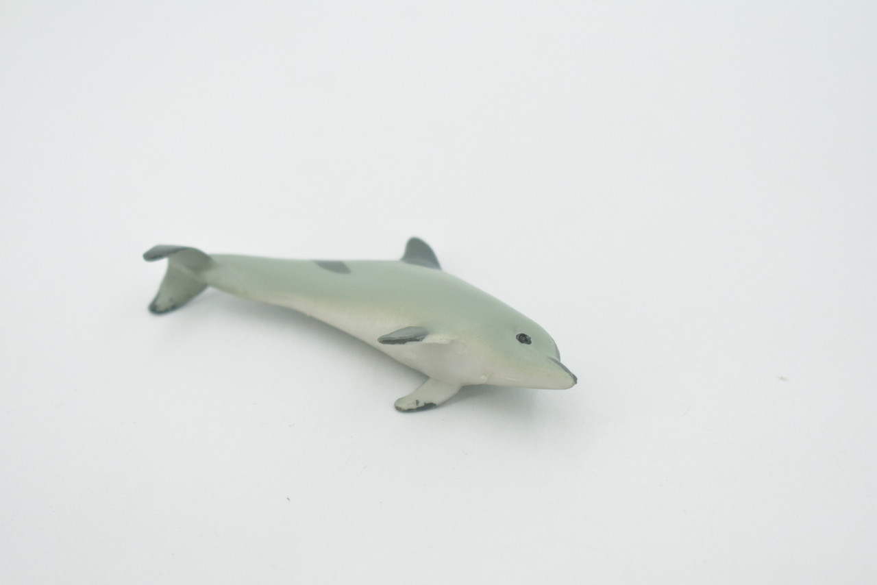 White Sided Dolphin, Bottlenose, High Quality, Hand Painted, Rubber, Realistic Figure, Model, Replica, Toy, Kids, Educational, Gift,    3"   CH543 BB159 