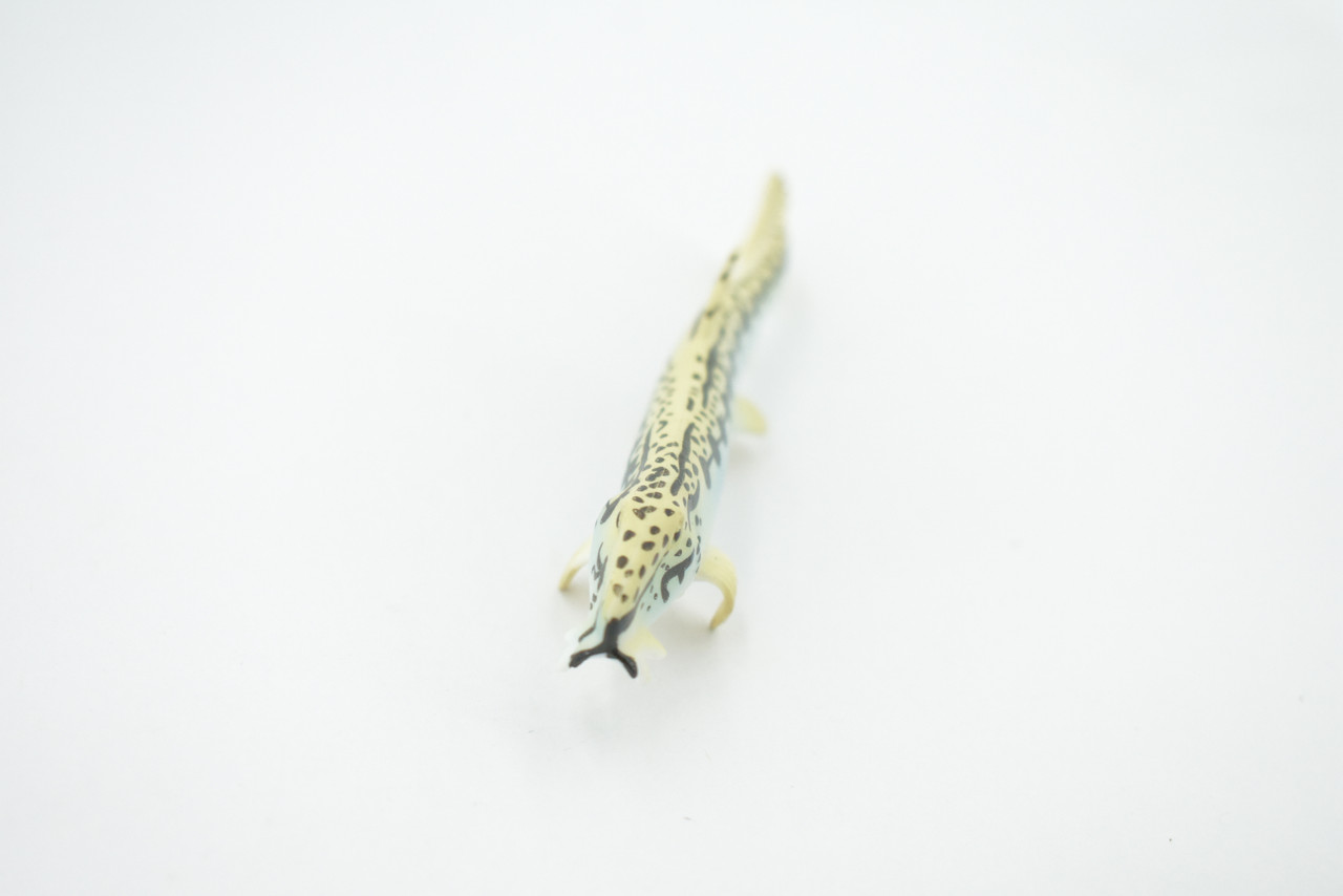 Fish, Spiny Loach, Spined, Spotted, Museum Quality, Hand Painted, Rubber, Realistic Figure, Model, Replica, Toy, Kids, Educational, Gift,   4 1/2"   CH544 BB159