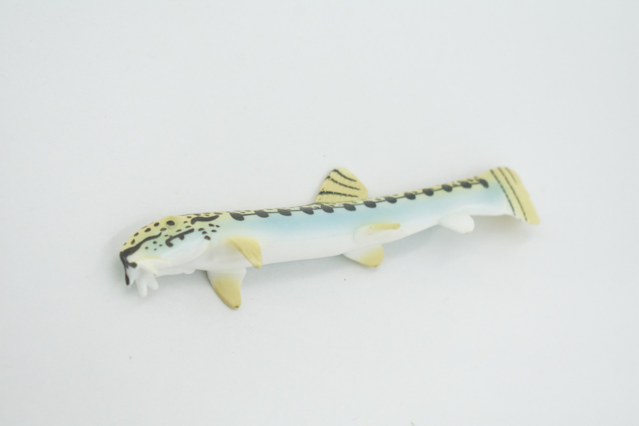 Fish, Spiny Loach, Spined, Spotted, Museum Quality, Hand Painted, Rubber, Realistic Figure, Model, Replica, Toy, Kids, Educational, Gift,   4 1/2"   CH544 BB159